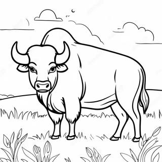 Sfh Tlwyn Lbyswn Lmhyb Fy Lhql 107640-44755