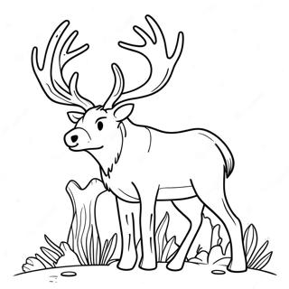 Sfh Tlwyn Gzl Bqrwn 115097 50765