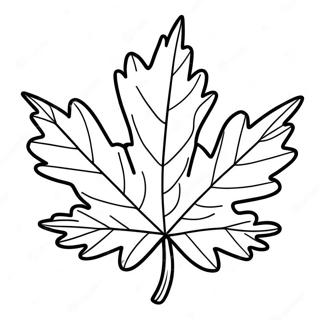 Sfh Tlwyn Wrq Shjr Lblwt Bsyt 26337-5752