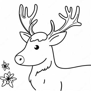 رنة واقعية صفحات التلوين