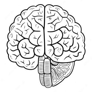 Sfh Tlwyn Dmg Wqy 69123-15142