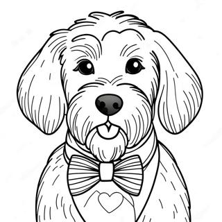 كلب جولدن دودل صفحات التلوين
